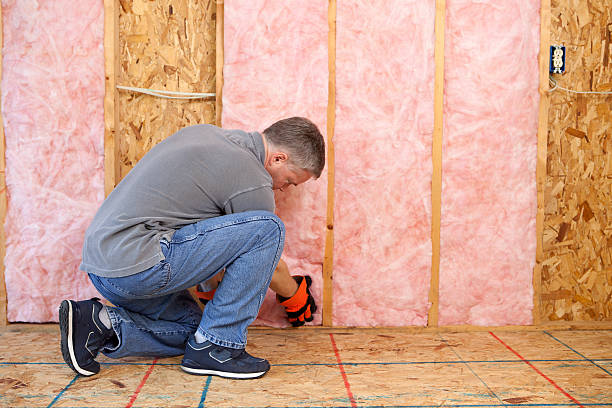 Best Insulation Maintenance and Repair in Woodland, WA